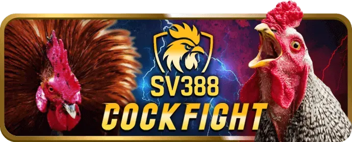 Quyền của người dùng 94win